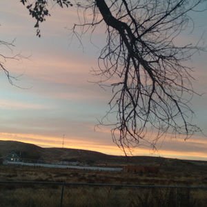 Meet your Posher, Shailey